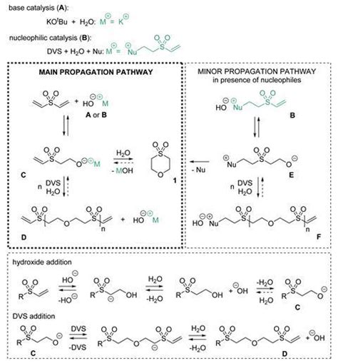 Water works as a monomer in polymer synthesis | Research | Chemistry World