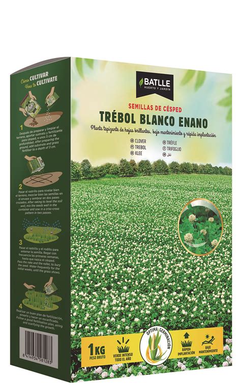 Trifolium Repens White Clover Semillas Batlle Huerto Y Jard N