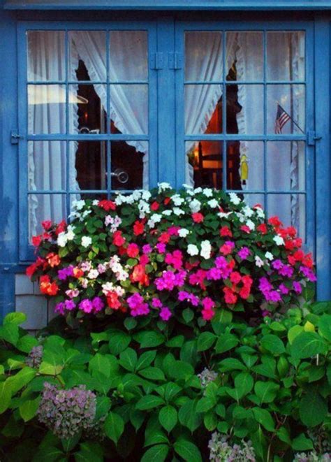 85 Awesome Shade Plants For Windows Boxes Ideas Page 36 Of 85