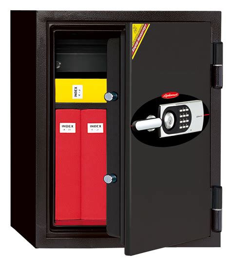 acme safe