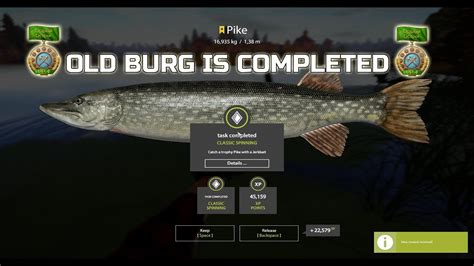 Russian Fishing 4 Pike Trophy 16 935 Kg Old Burg Lake YouTube