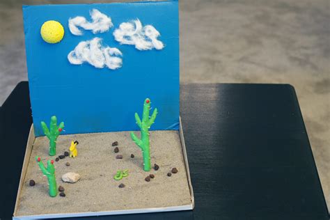 How To Make A Desert Diorama A Diorama Can Be A Creative Way To