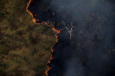 Bolsonaro Es El Nerón De Los Incendios En La Amazonía Política