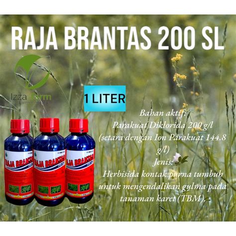 Jual RAJA BRANTAS Obat Untuk Mengendalikan Gulma Berdaun Lebar Dan