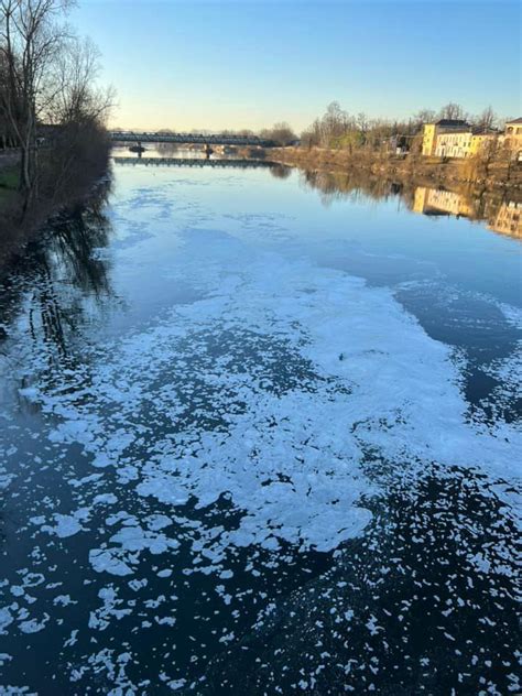 Sversamenti Di Liquami Scia Di Schiuma Nell Adda