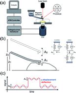 Microrheology Of Cells With Magnetic Force Modulation Atomic Force