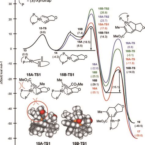 Regiodivergent Reaction Energy Profiles For The Rh Catalyzed