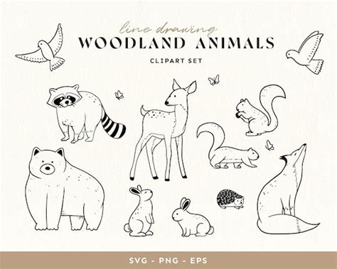 Woodland Animals Line Drawing Clipart SVG Animals Outline - Etsy