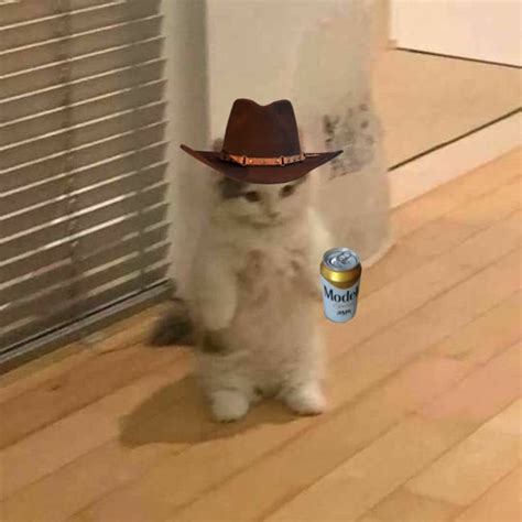 Mexican Cat With Sombrero And Drink