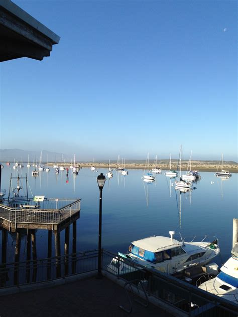 What To Do In Morro Bay Morro Bay National Estuary Program