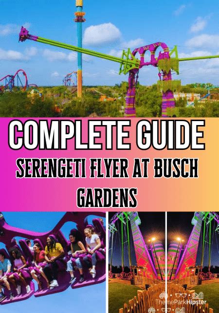 Serengeti Flyer The Most Thrilling Ride At Busch Gardens Tampa