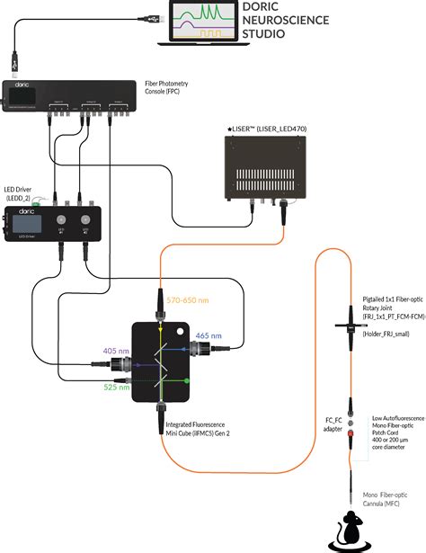 Basic Fiber Photometry System Doric Lenses Inc