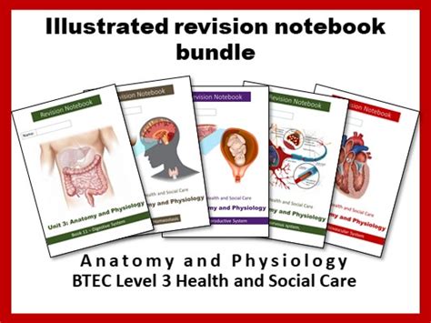 Btec Health And Social Care Unit 3 Anatomy And Physiology Illustrated Revision Notebooks