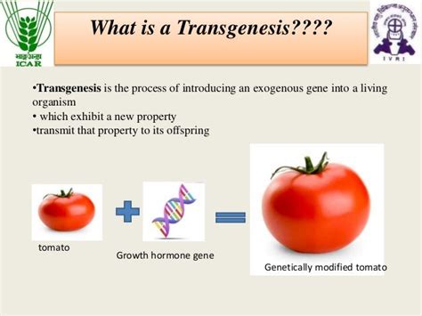 Transgenesis in animal