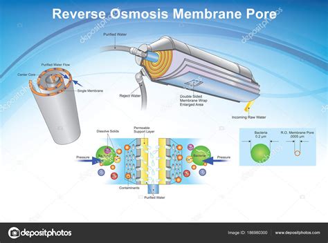 Reverse Osmosis Membrane Pore System Illustration Stock Vector Image