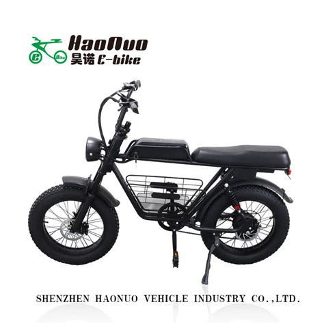 Inch Fat Tyre V Watt Heavy Duty Cargo Electric Bikes