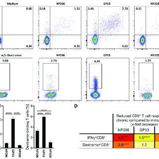 Lcmv Epitope Specific T Cell Response Alterations Were Detectable In