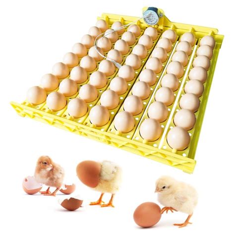 Ready Stock 220V 24 56 Eggs Incubator Turn Tray Poultry Incubation