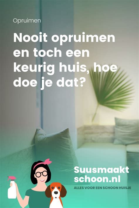 Suus Maakt Schoon De Beste Tips Voor Een Schoon Huis Artofit