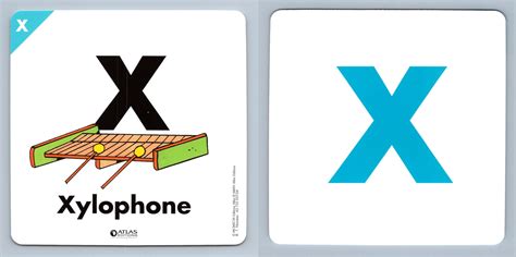 Xylophone X Atlas Editions Play Learn Flash Card