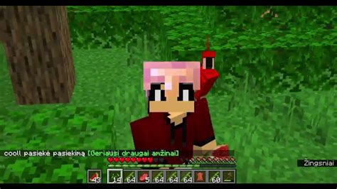 1d Minecraft Vienas Survival Rio Ne