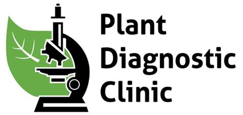 Plant Diagnostic Clinic Uvm Extension Cultivating Healthy Communities