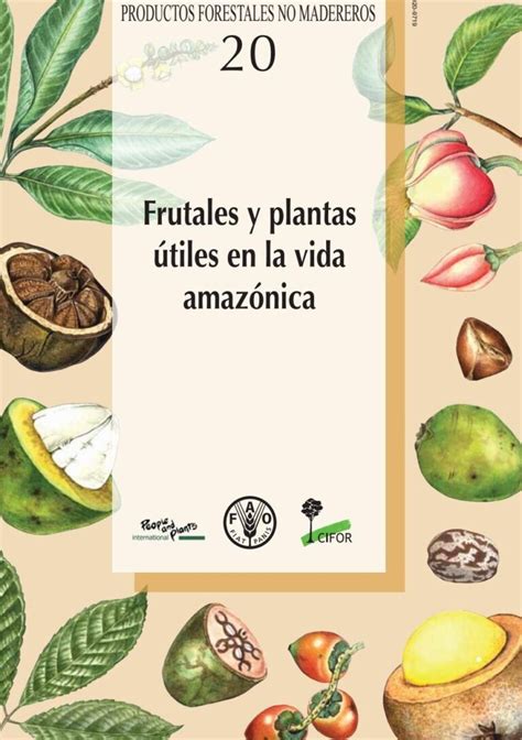 Conoce Todo Sobre El N Spero El Rbol Frutal Peque O Ideal Para Tu