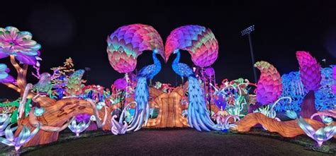 STOCKTON LANTERN FESTIVAL MAGIC FOREST - Updated December 2024 - 29 ...