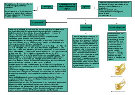 Mapa De V A Vaginal Administraci N De Medicamentos V A Vaginal