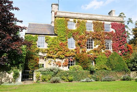 31 Examples Of Ivy Covered Houses Home Stratosphere