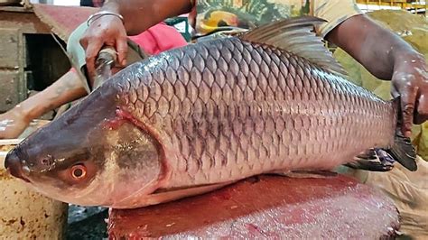 Super Fast Big Rohu Fish Cutting Chopping By Expert Fish Cutter