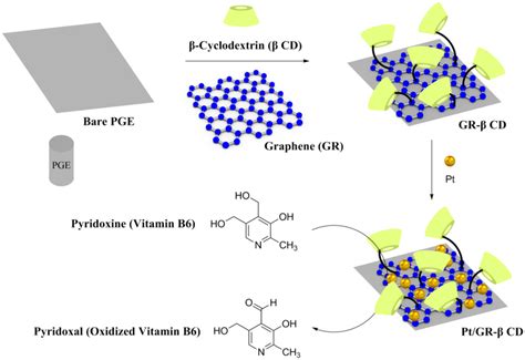 Schematic Representation Of Mechanism Of Electrocatalytic Oxidation Of