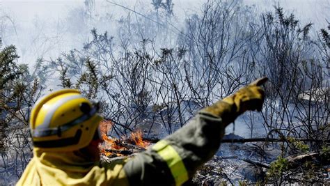 Unos 1 300 incendios forestales han quemado 2 200 hectáreas en Galicia