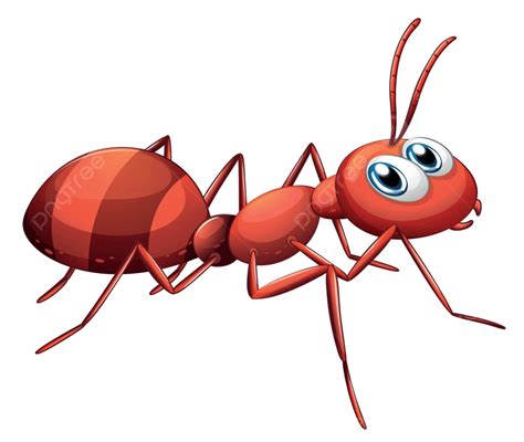 A Big Red Ant Sac Pest Picture Vector Sac Pest Picture Png And