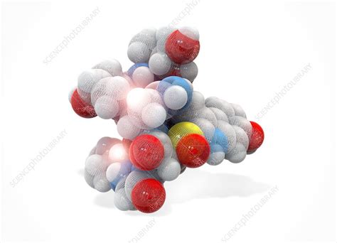 Alpha-amanitin toxin molecule - Stock Image - C022/9938 - Science Photo Library