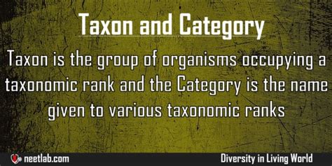 Difference between Taxon and Category - NEETLab