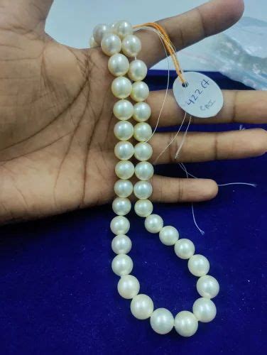 Creamish White South Sea Pearls Size 9mm To 13mm 350 425carat At Rs