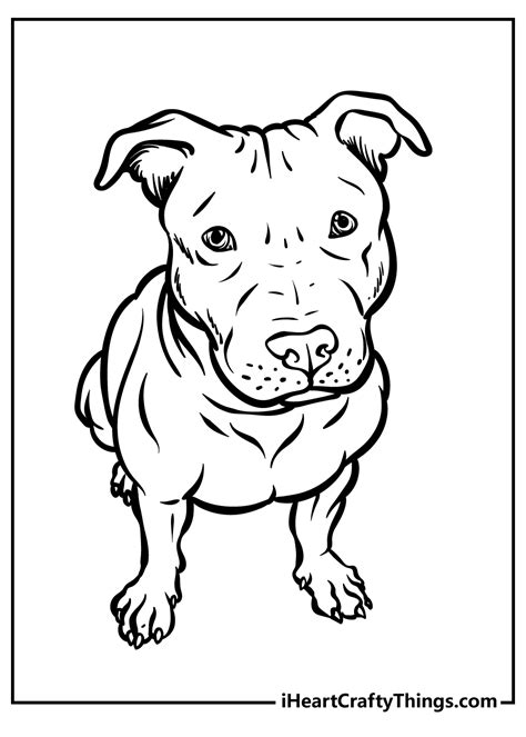 Printable Pitbull Coloring Page Updated 2022 Coloring Home