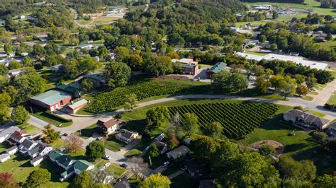 Missouri Vineyard Near You Our Vineyards Stone Hill Winery