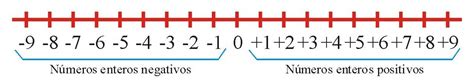 Adición De Números Enteros Utilizando La Recta Numérica Free Nude