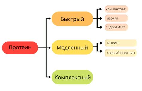 Изолят протеина: виды, состав, принцип действия и лучшие марки