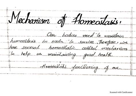 SOLUTION Mechanism Of Homeostasis Studypool