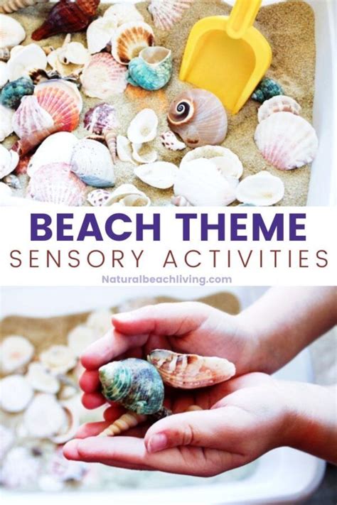 Seashells Sensory Bin Ocean Theme Preschool Natural Beach Living