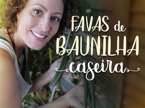 Como Plantar E Ter Favas De Baunilha Em Casa Minhas Plantas