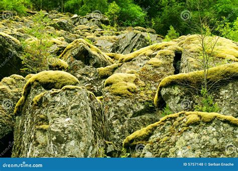 Moss On Rocks Stock Photo Image Of Mass Mosstone Nature 5757148