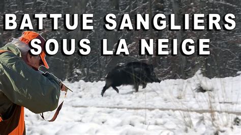 Battue Aux Sangliers Sous La Neige Youtube