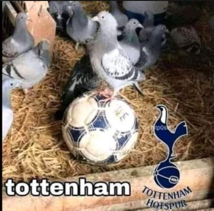 Tottenham Humor de fútbol Imágenes hilarantes Memes de fútbol