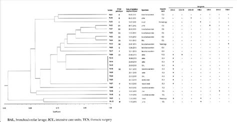 Figure 1 from Identification of plasmid OXA and other β lactamase genes