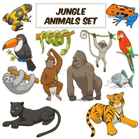 Cartoon Jungle Animals Set Vector Stock Vector - Illustration of ...