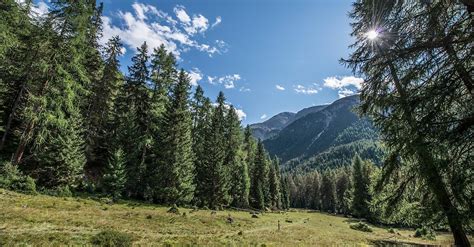 Nationalpark Kurzwanderung Margun Grimmels Rundwanderung Bergfex